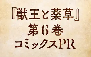 じゅん　　獣王と薬草 6 Amazon.co.jp: 獣王と薬草（6） (裏少年サンデーコミックス
