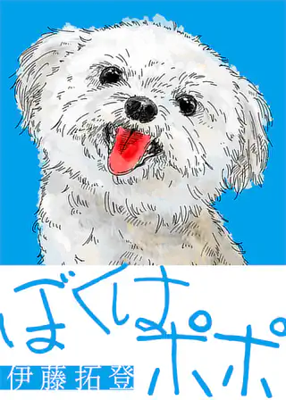 雷雷雷 4巻 | マンガワン